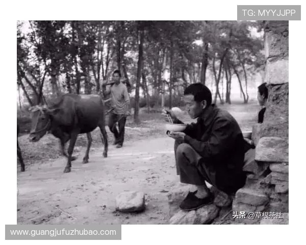 河南战胜成都展现草根不屈精神 成冠军之路越走越宽